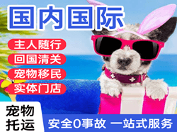 牡丹江空运代理国际宠物托运 【国